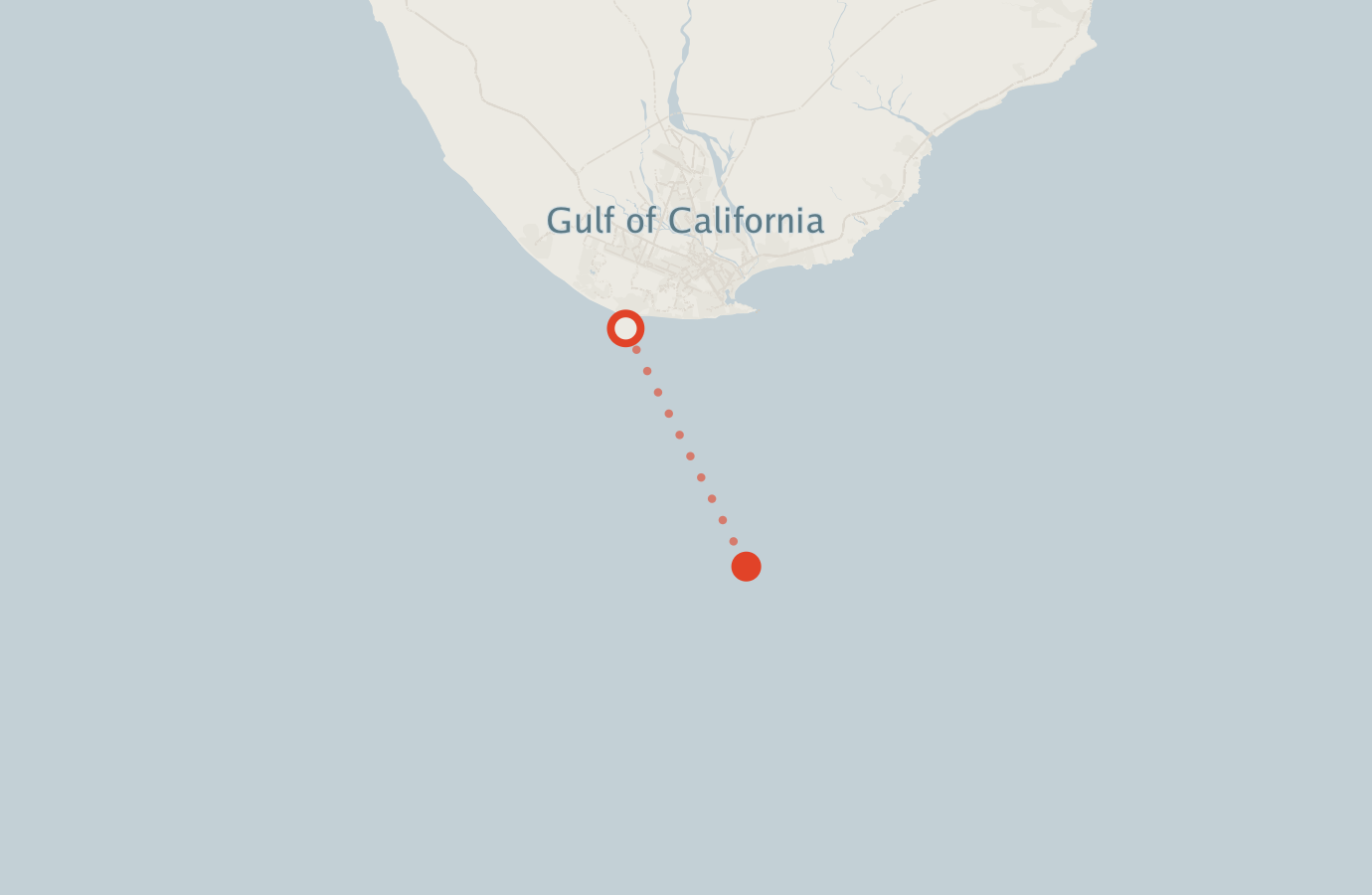 Activity map — real sighting points on an OpenStreetMap basemap