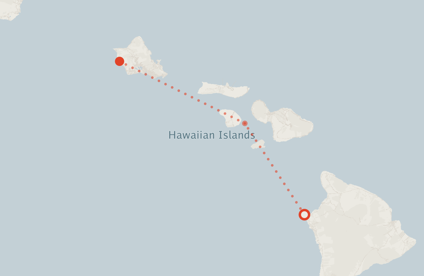 Activity map — real sighting points on an OpenStreetMap basemap