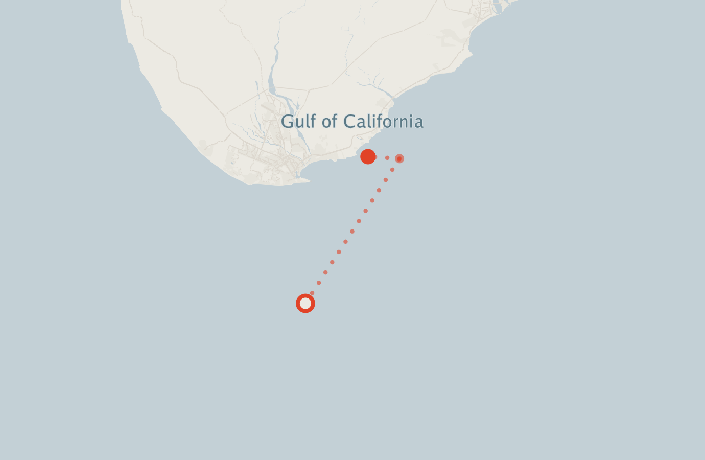Activity map — real sighting points on an OpenStreetMap basemap