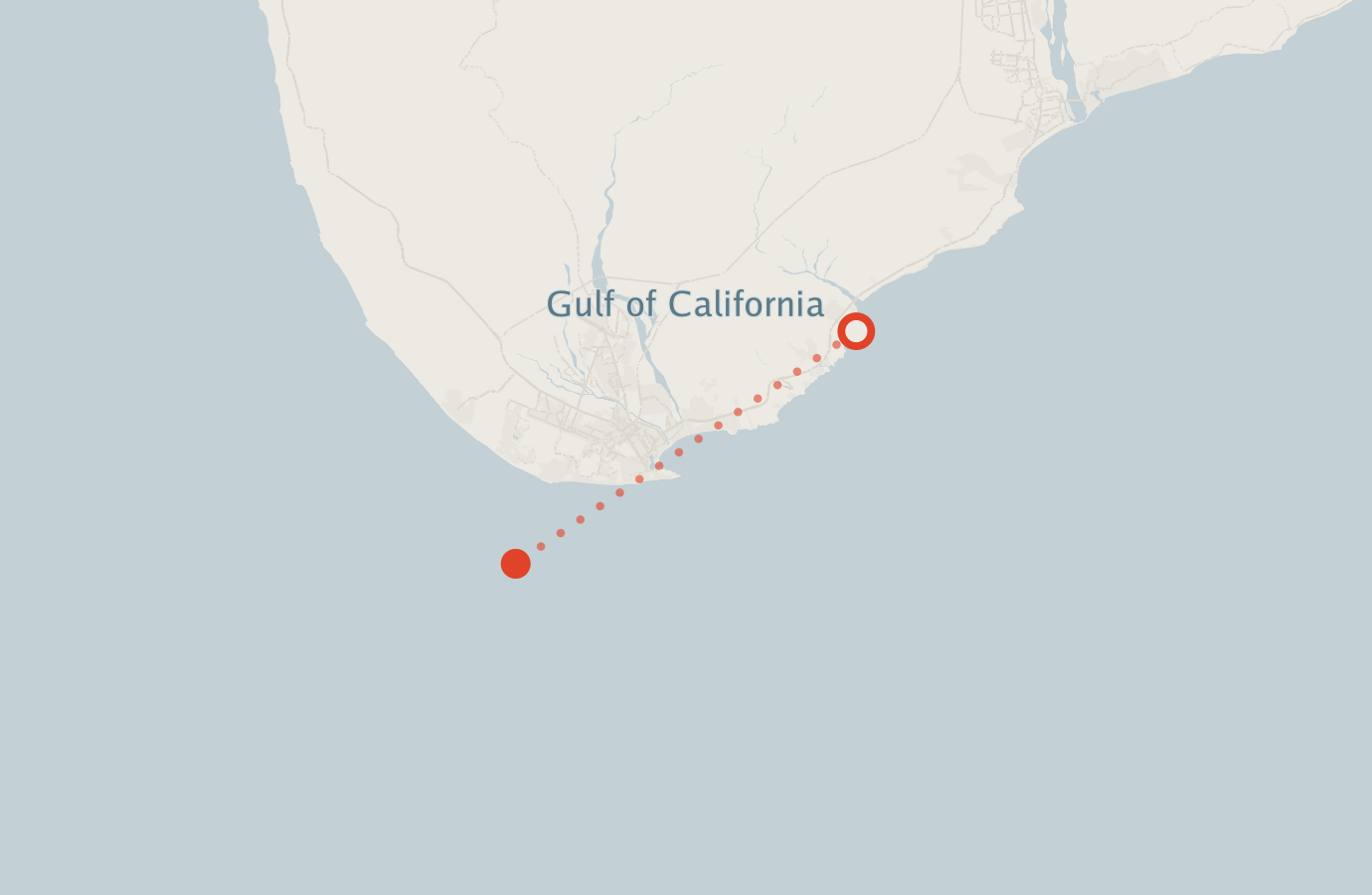 Activity map — real sighting points on an OpenStreetMap basemap