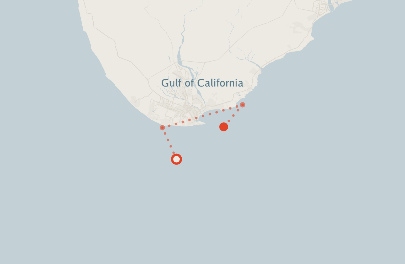 Activity map — real sighting points on an OpenStreetMap basemap