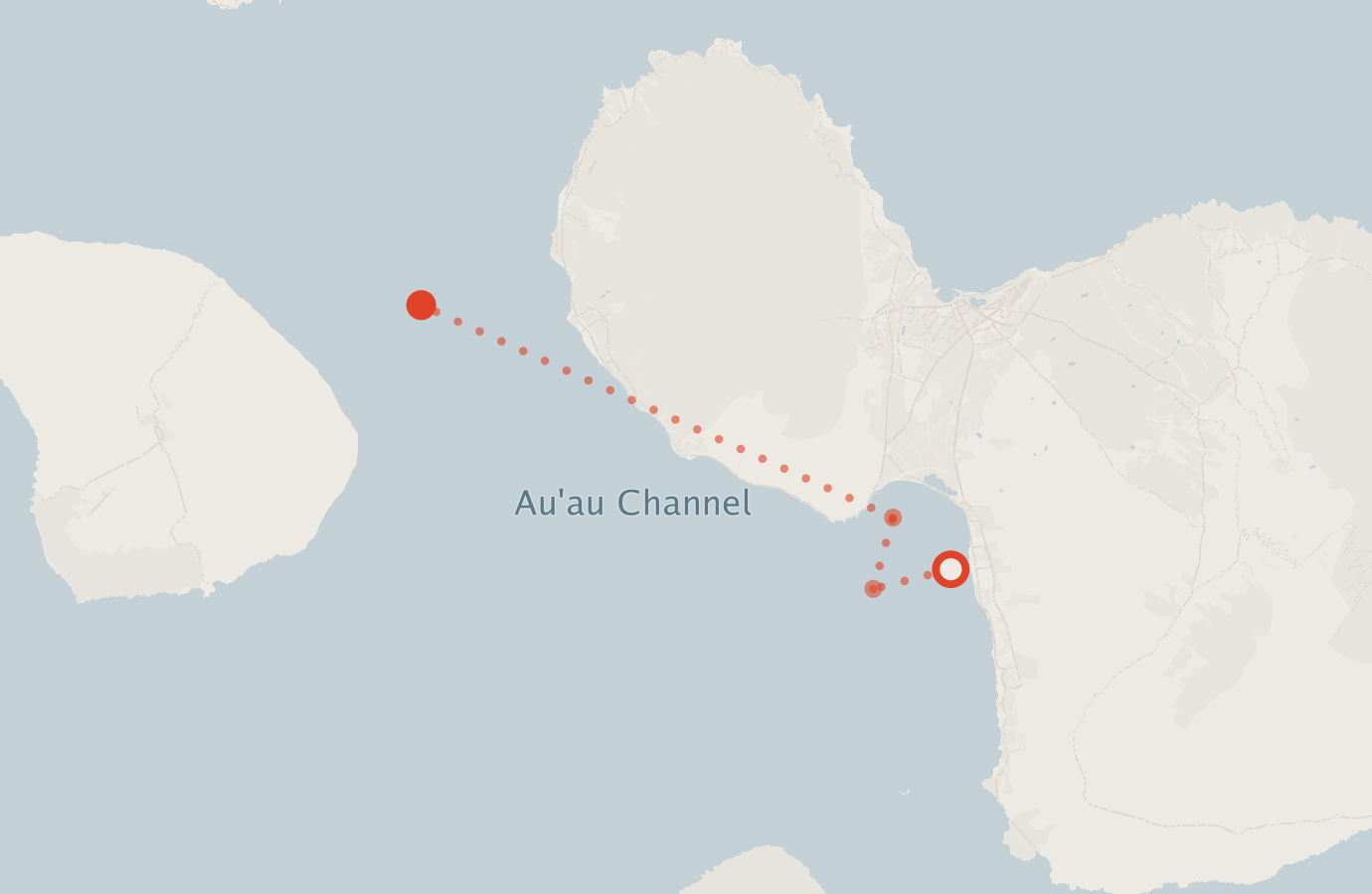 Activity map — real sighting points on an OpenStreetMap basemap