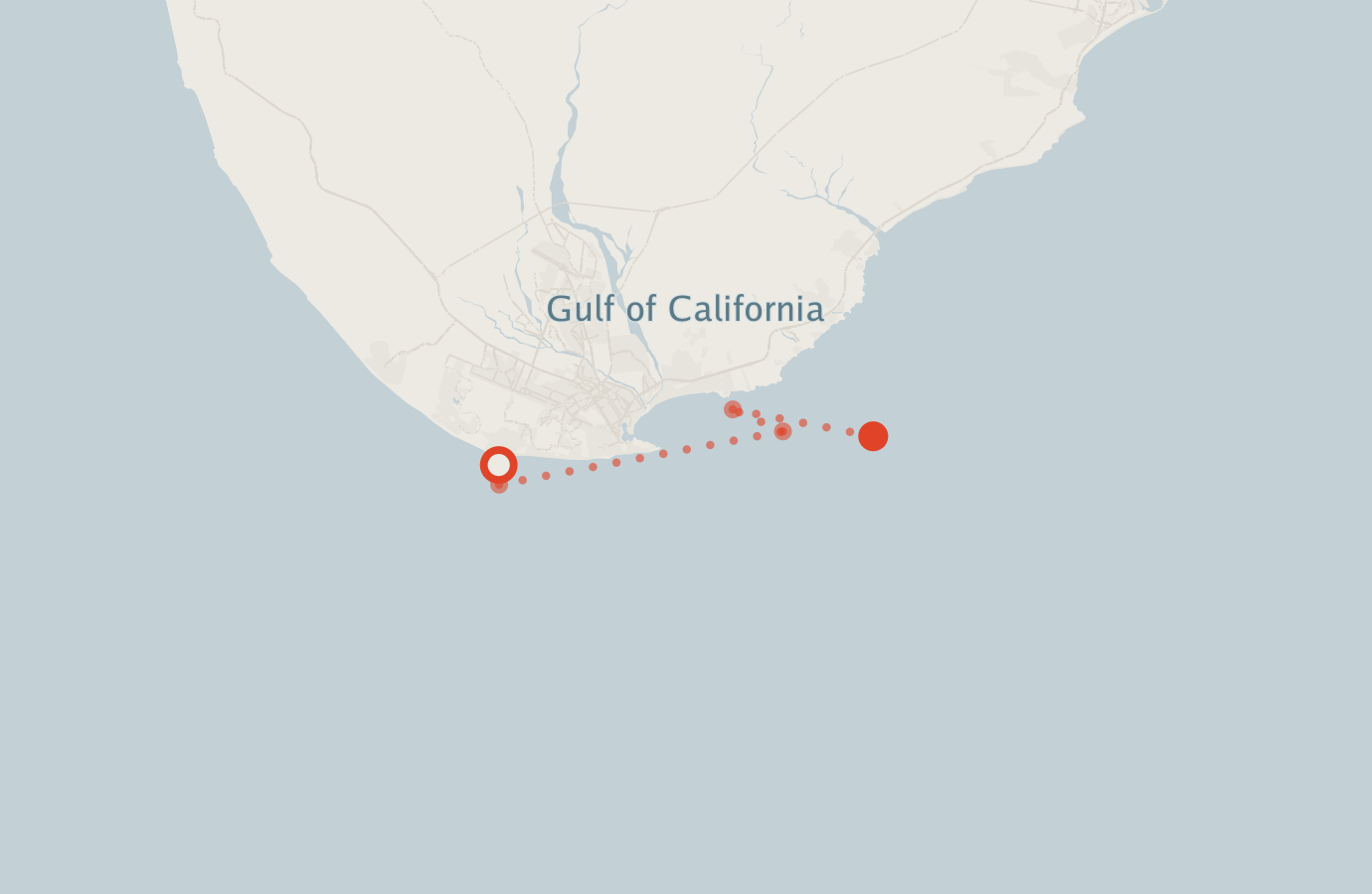 Activity map — real sighting points on an OpenStreetMap basemap