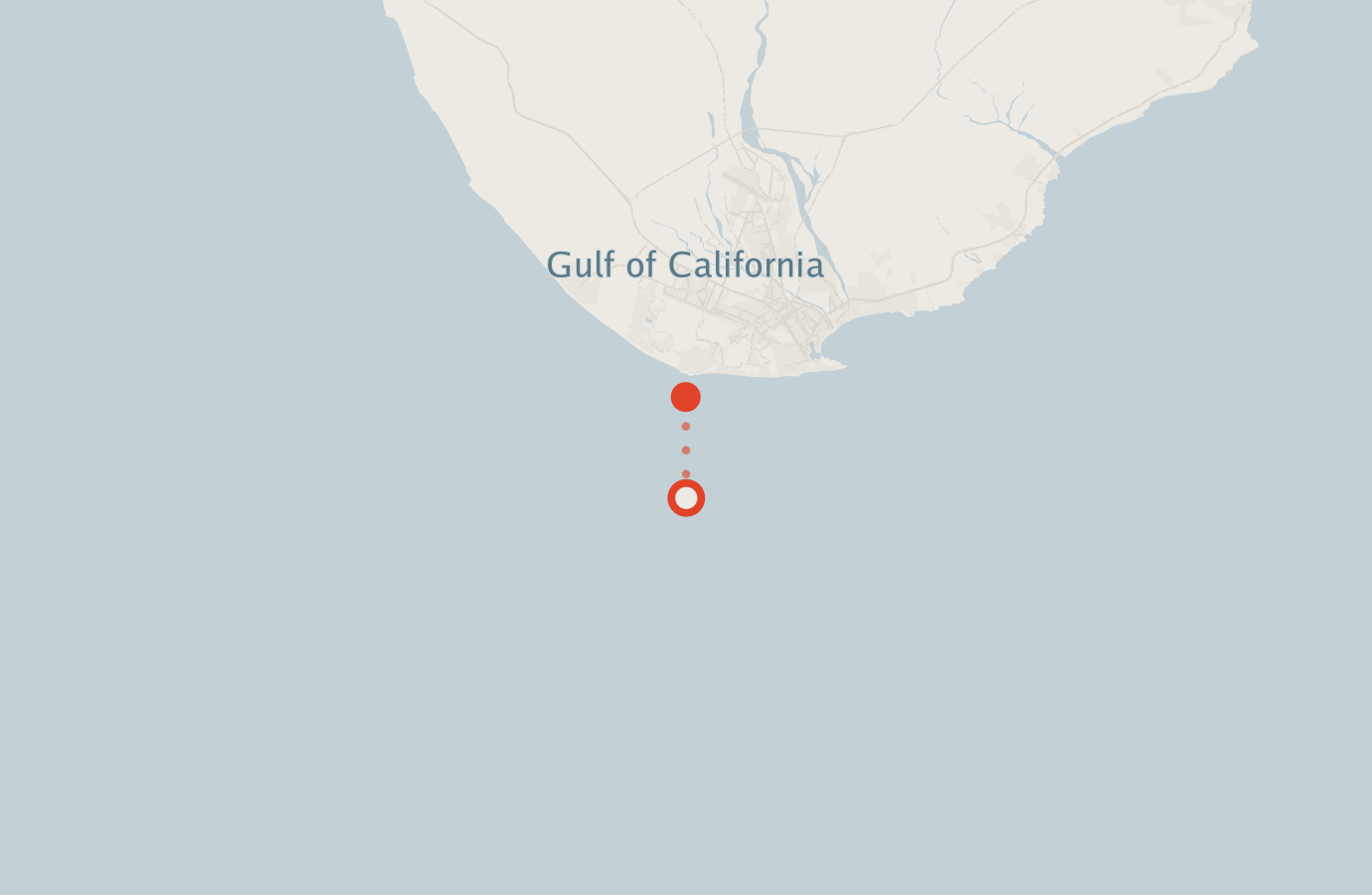 Activity map — real sighting points on an OpenStreetMap basemap