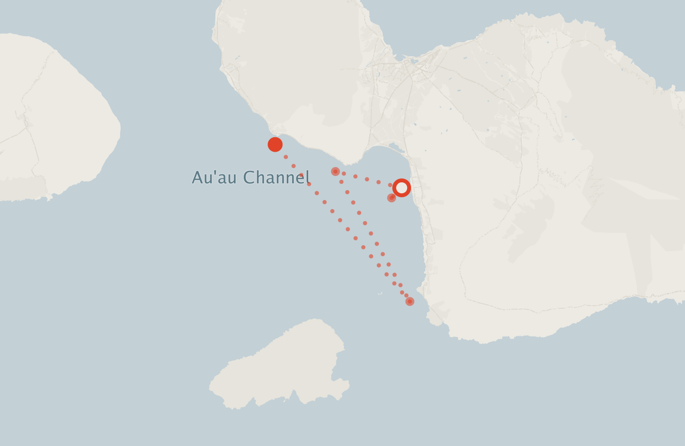 Activity map — real sighting points on an OpenStreetMap basemap