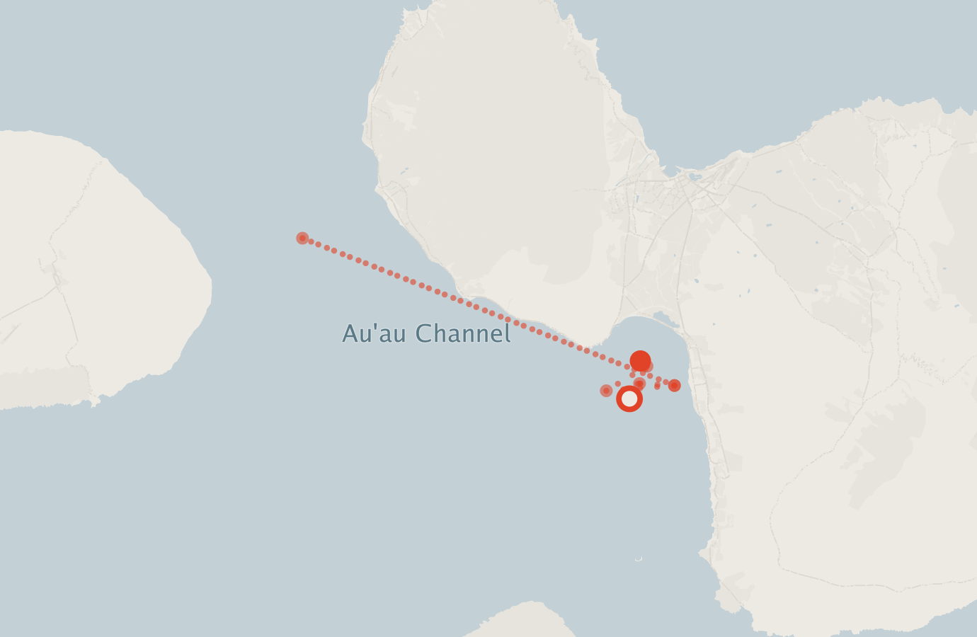 Activity map — real sighting points on an OpenStreetMap basemap