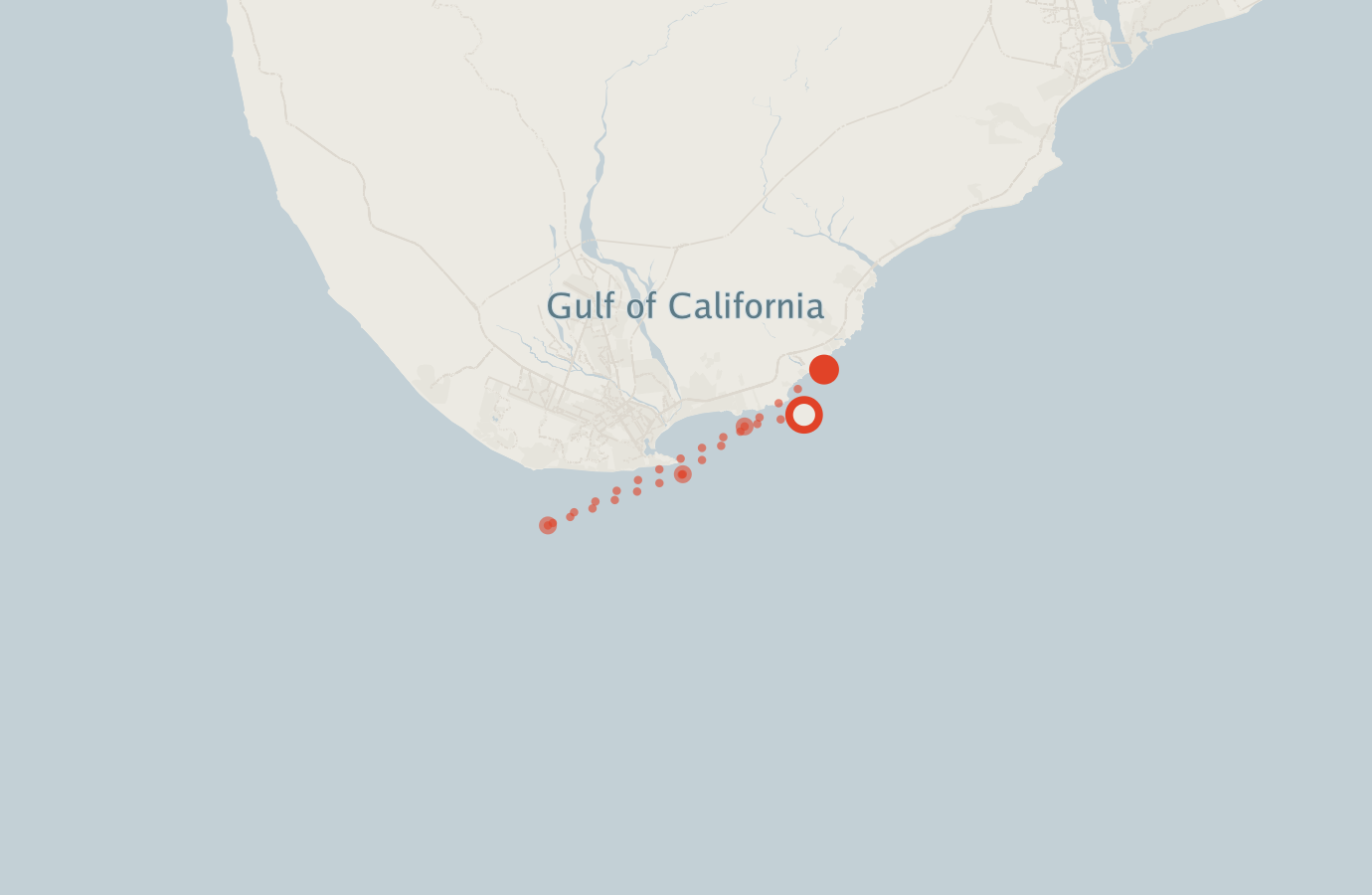 Activity map — real sighting points on an OpenStreetMap basemap