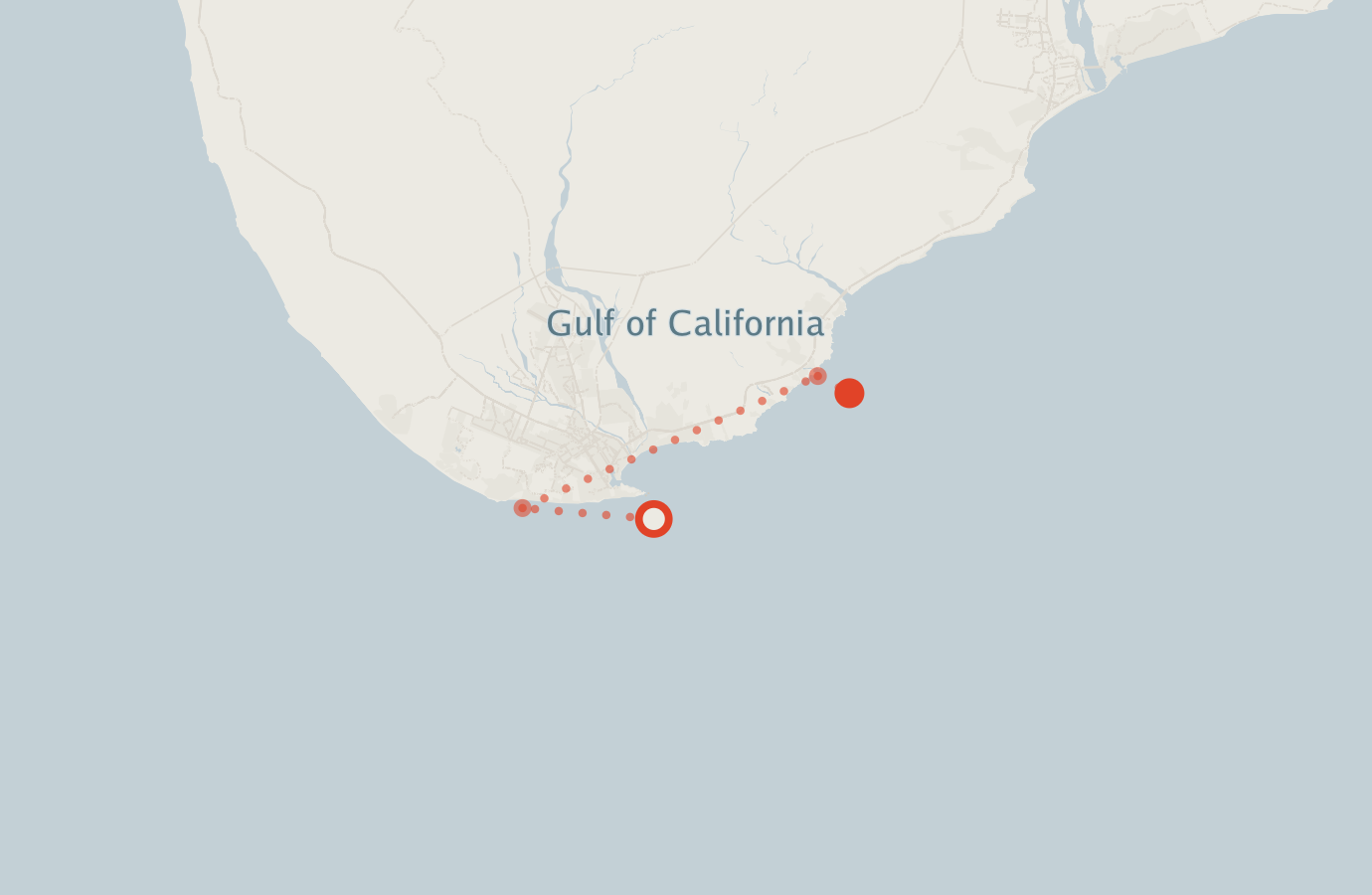 Activity map — real sighting points on an OpenStreetMap basemap