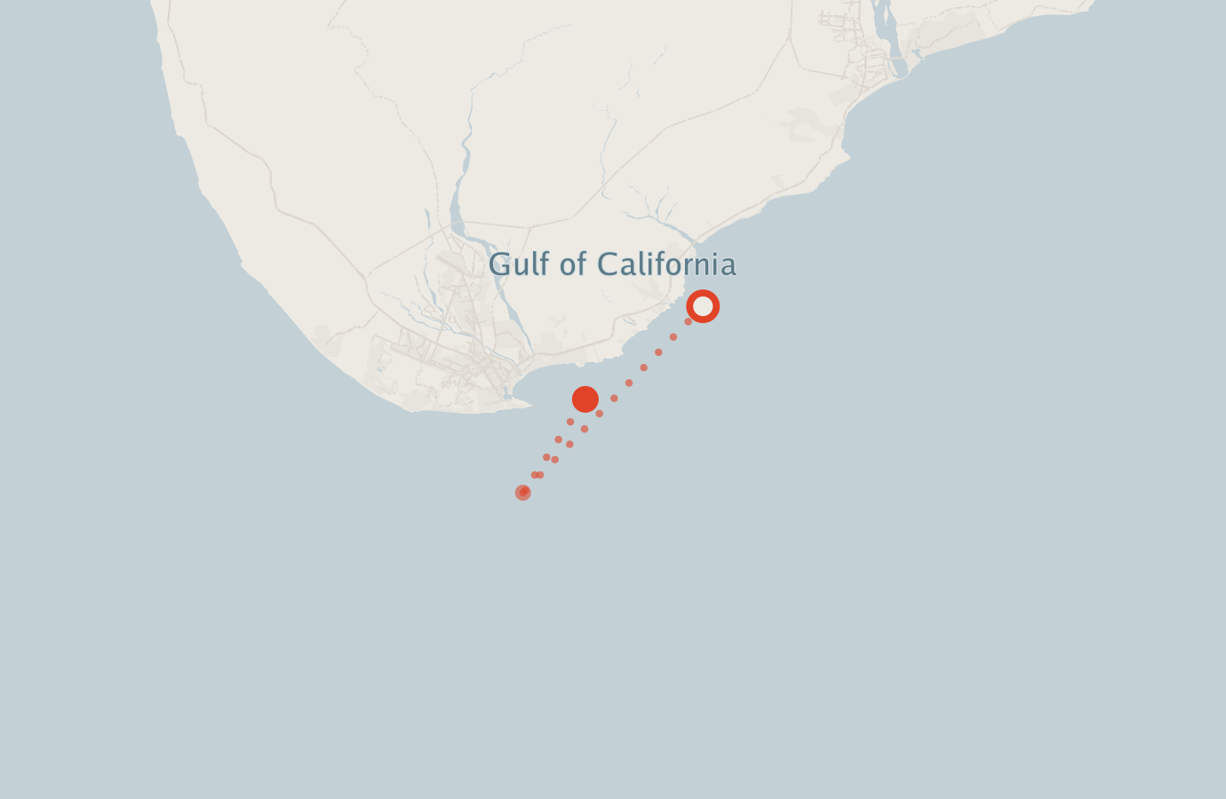 Activity map — real sighting points on an OpenStreetMap basemap