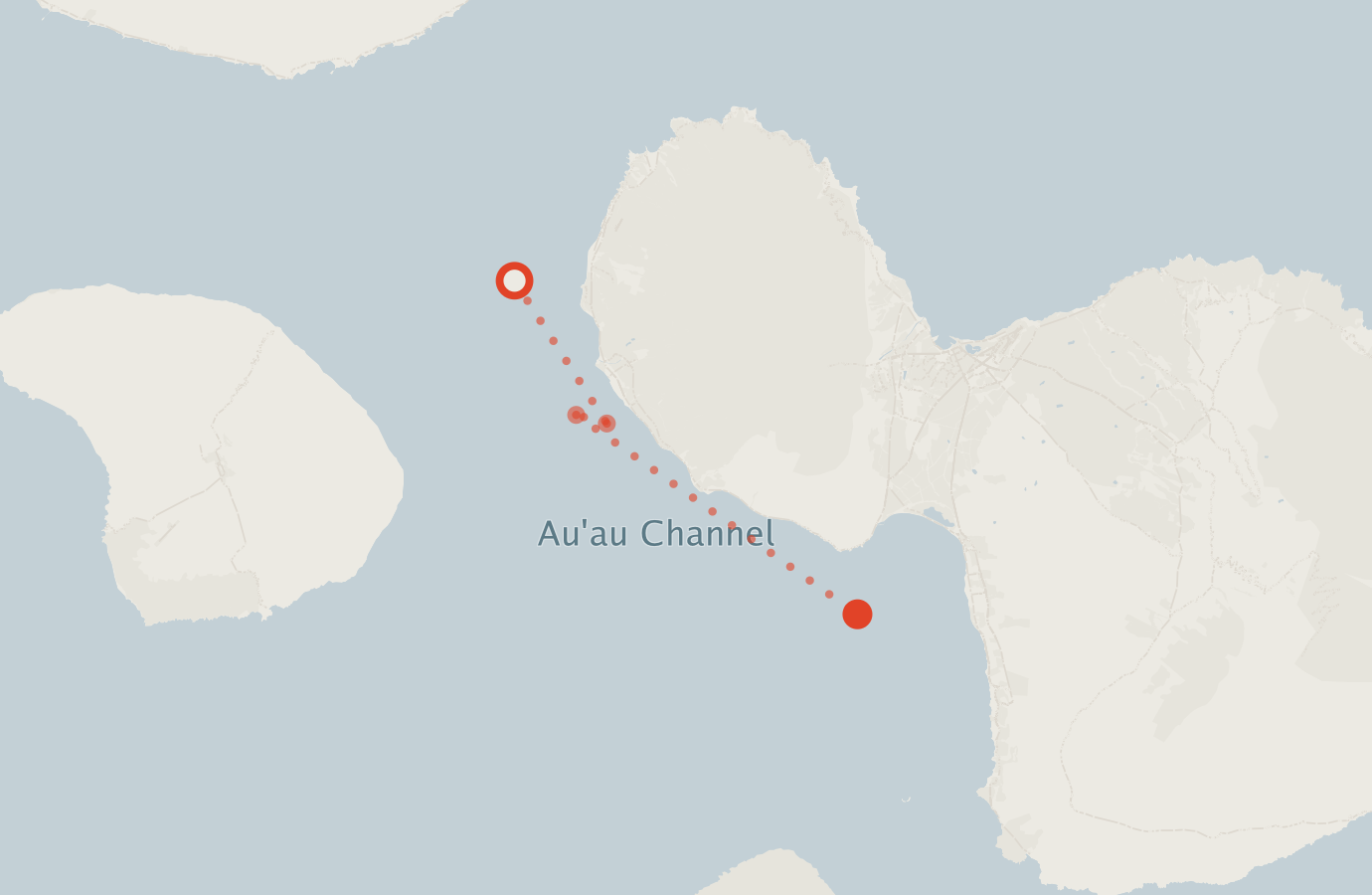 Activity map — real sighting points on an OpenStreetMap basemap