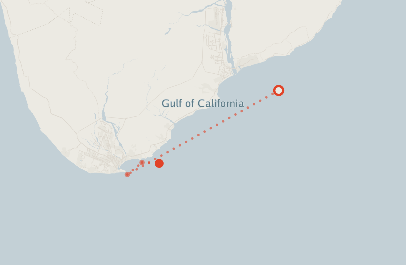 Activity map — real sighting points on an OpenStreetMap basemap