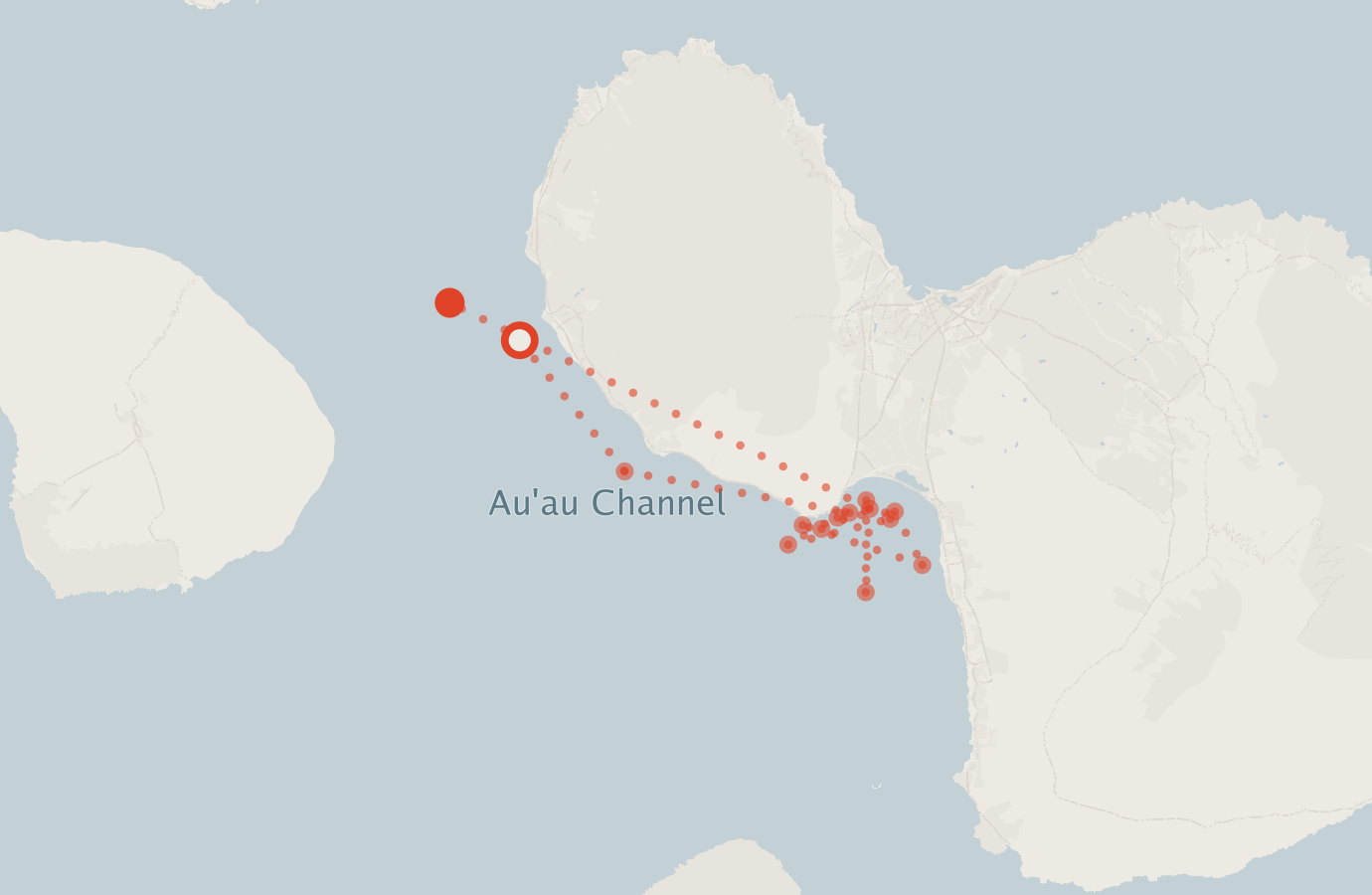 Activity map — real sighting points on an OpenStreetMap basemap