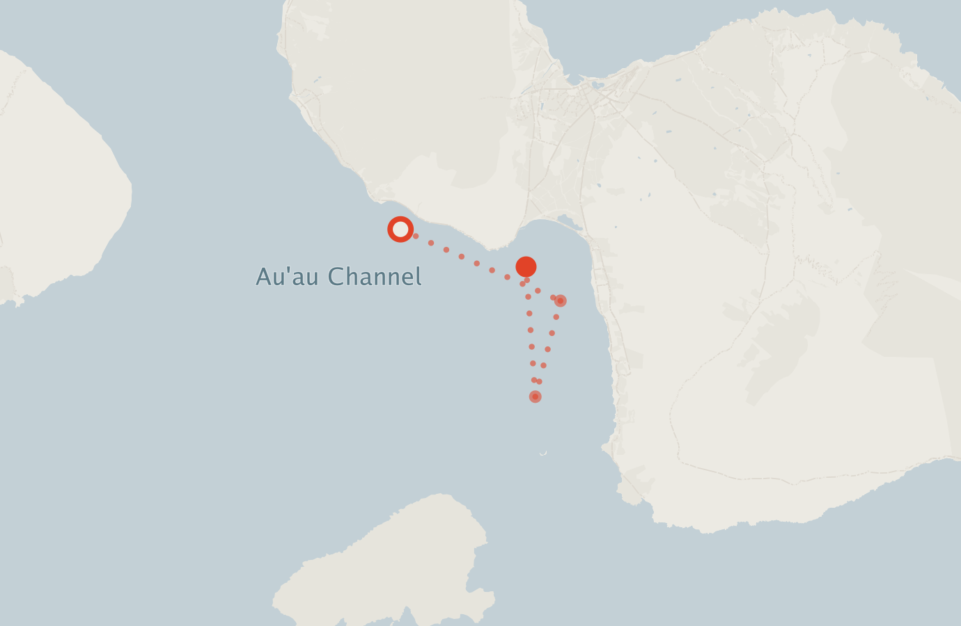 Activity map — real sighting points on an OpenStreetMap basemap