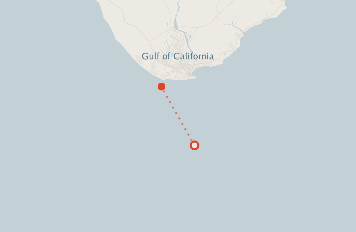 Activity map — real sighting points on an OpenStreetMap basemap