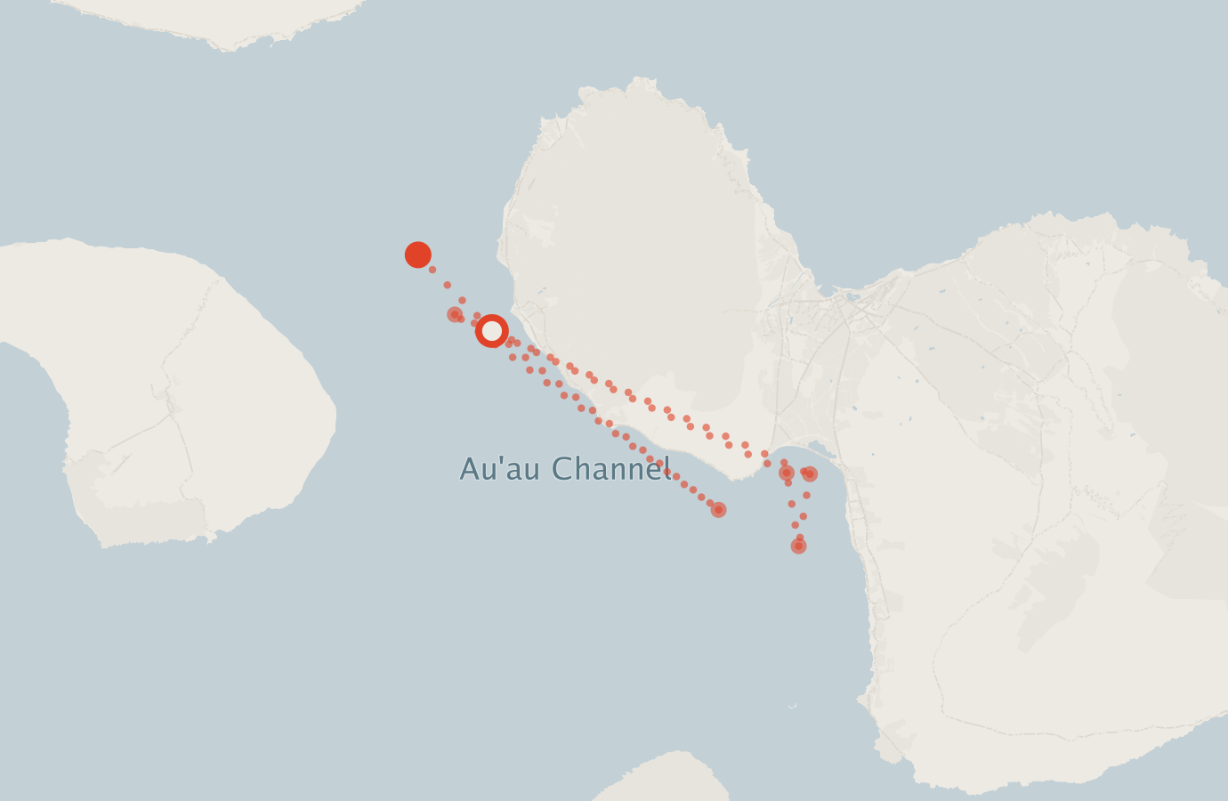 Activity map — real sighting points on an OpenStreetMap basemap