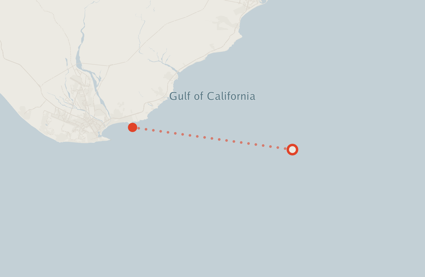 Activity map — real sighting points on an OpenStreetMap basemap