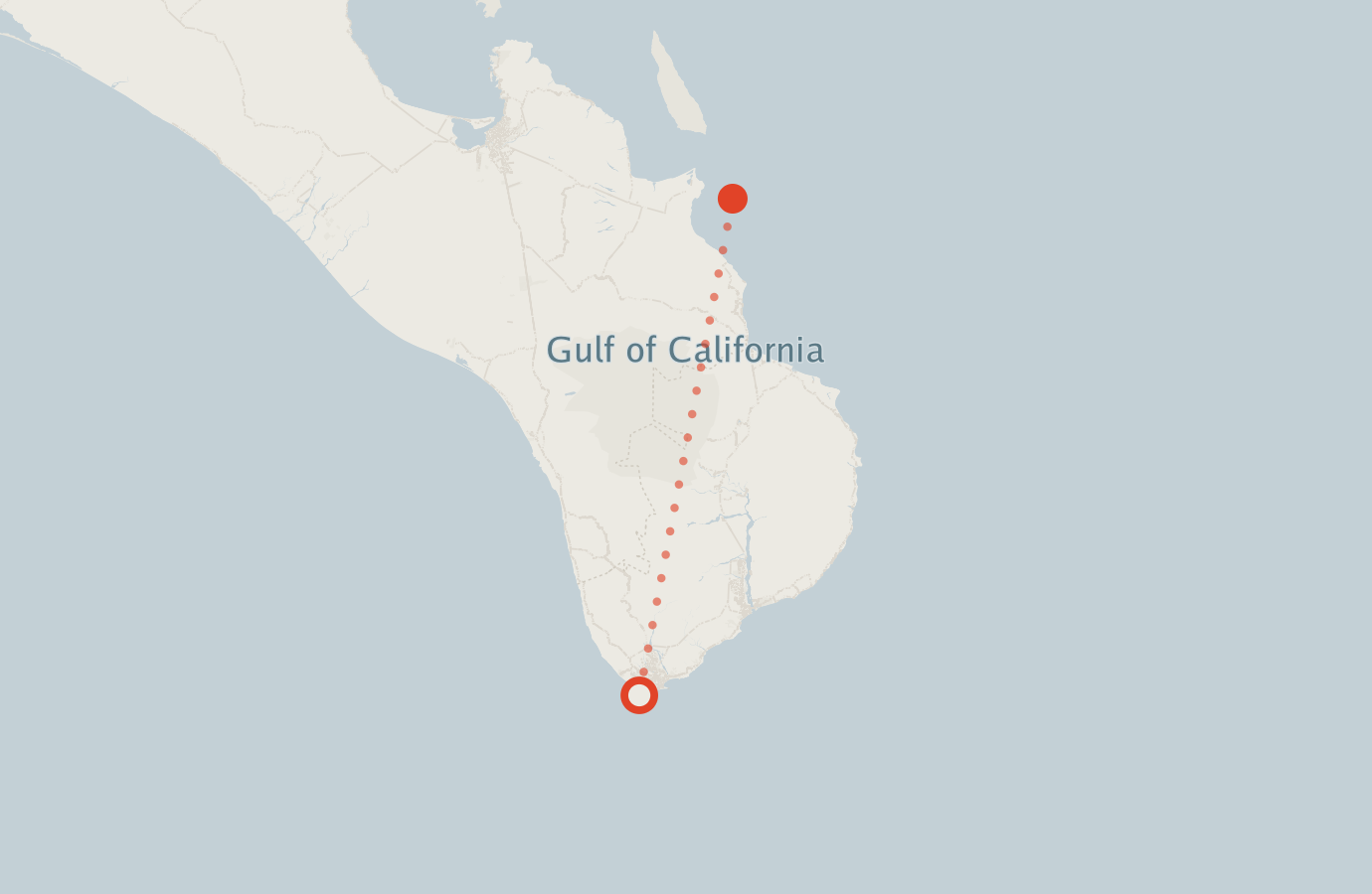 Activity map — real sighting points on an OpenStreetMap basemap