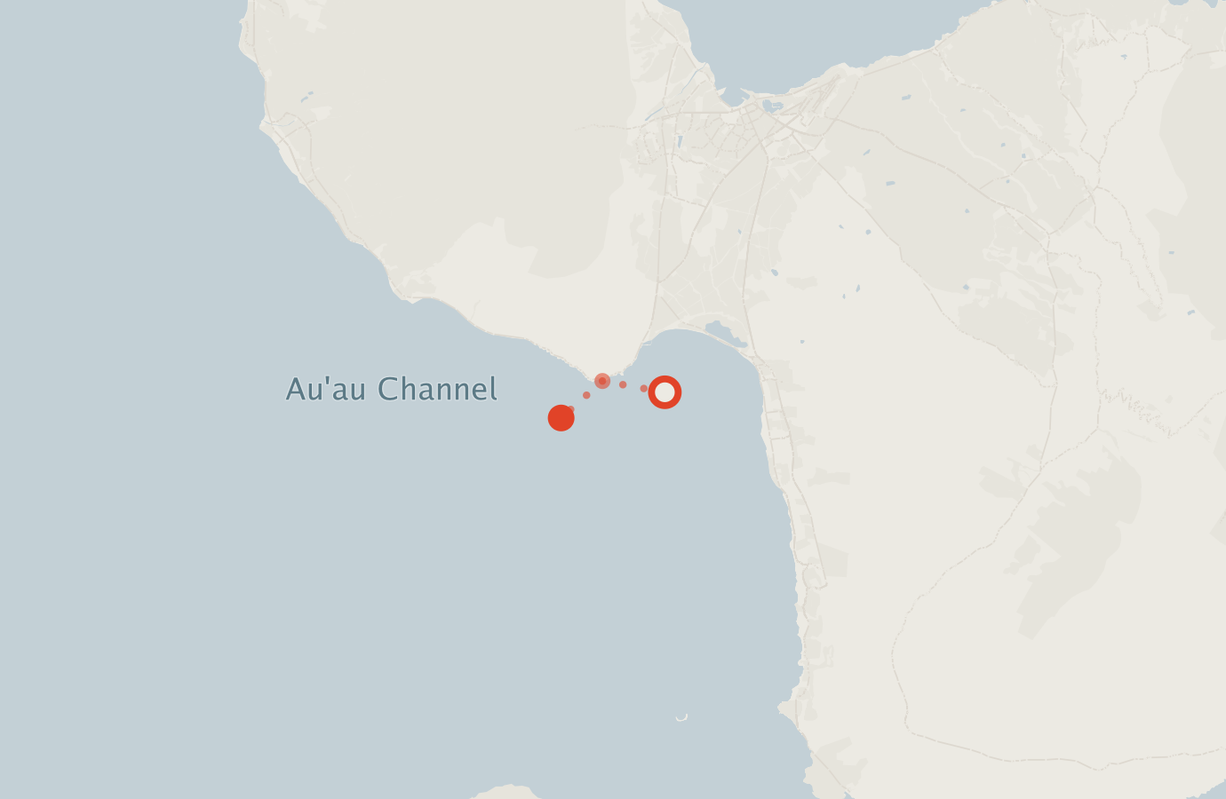 Activity map — real sighting points on an OpenStreetMap basemap