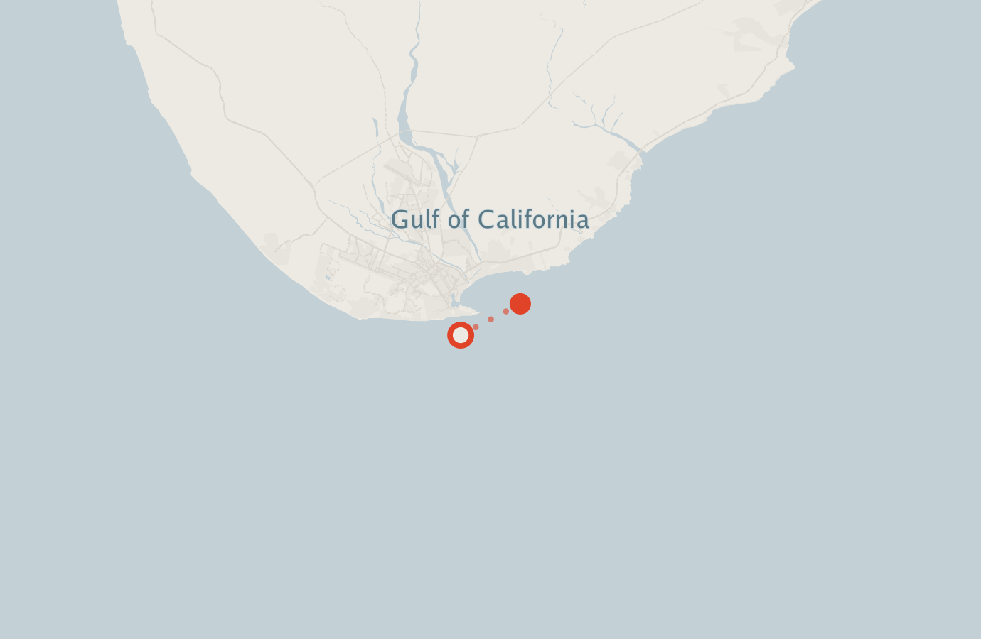 Activity map — real sighting points on an OpenStreetMap basemap
