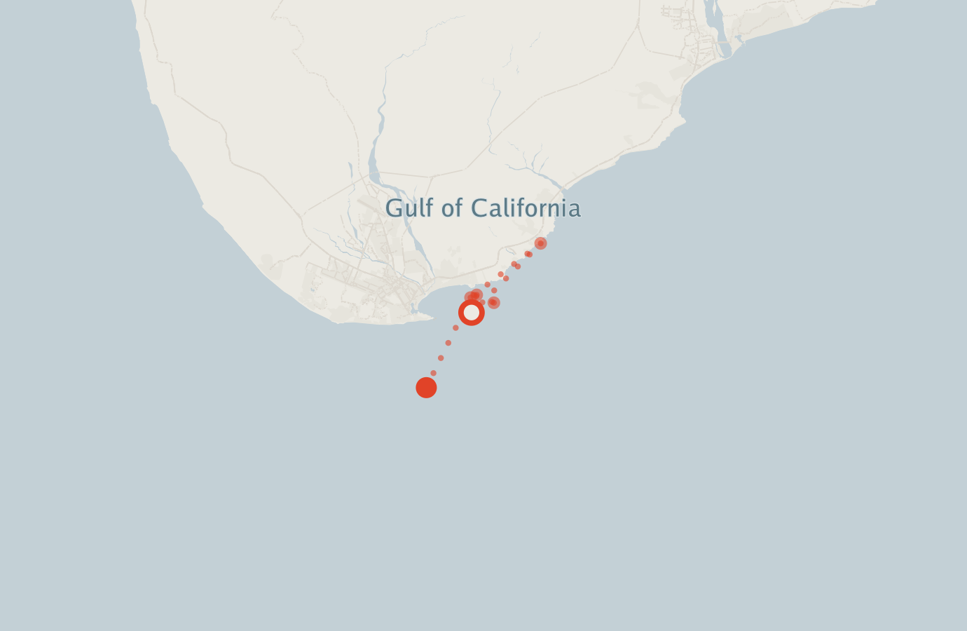 Activity map — real sighting points on an OpenStreetMap basemap