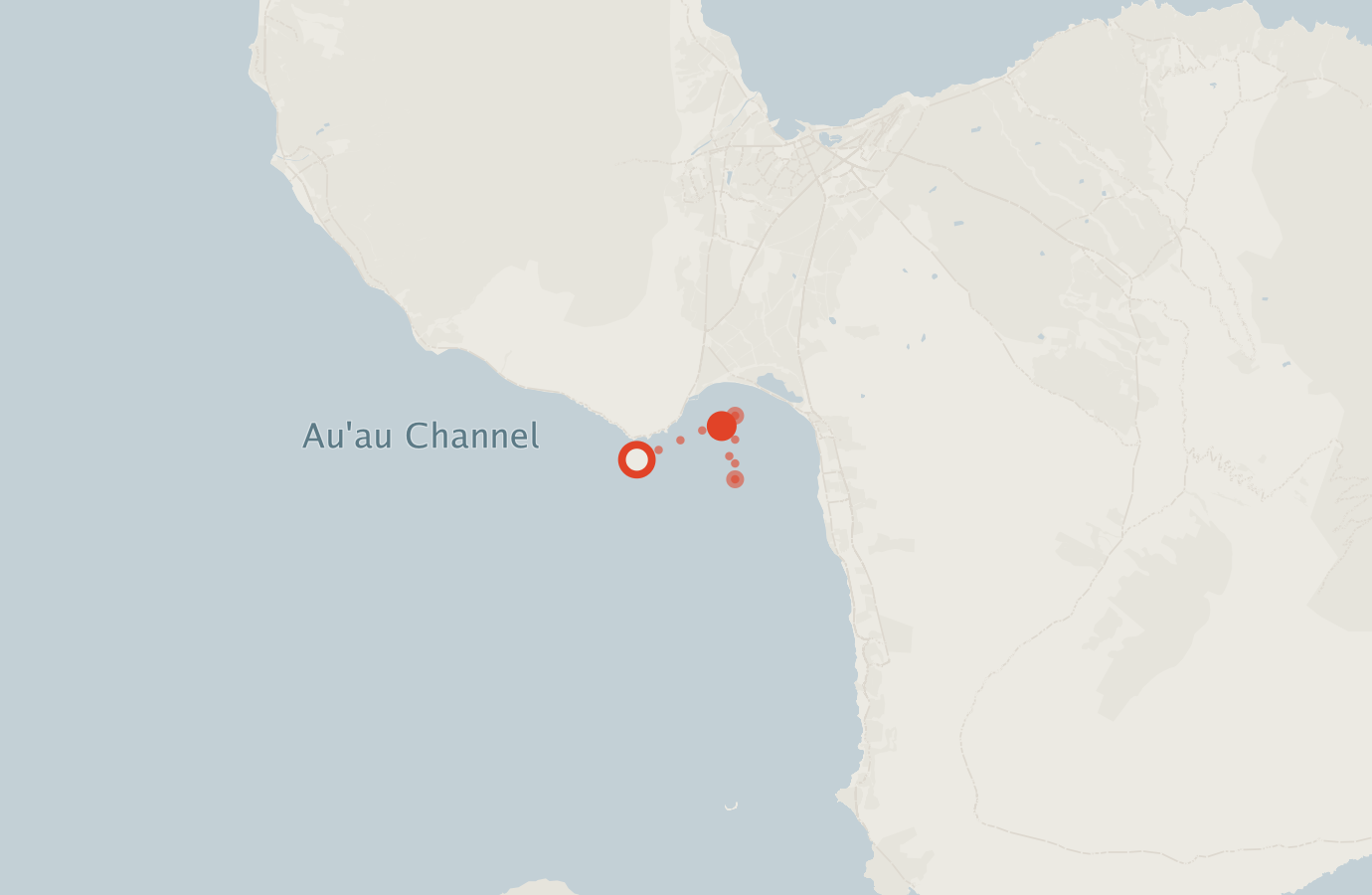 Activity map — real sighting points on an OpenStreetMap basemap