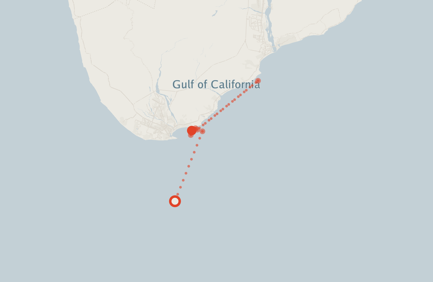 Activity map — real sighting points on an OpenStreetMap basemap