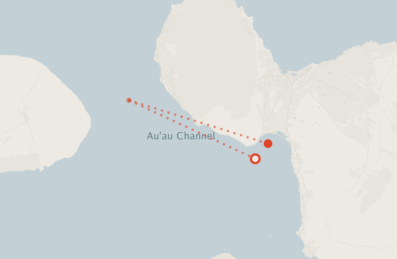 Activity map — real sighting points on an OpenStreetMap basemap