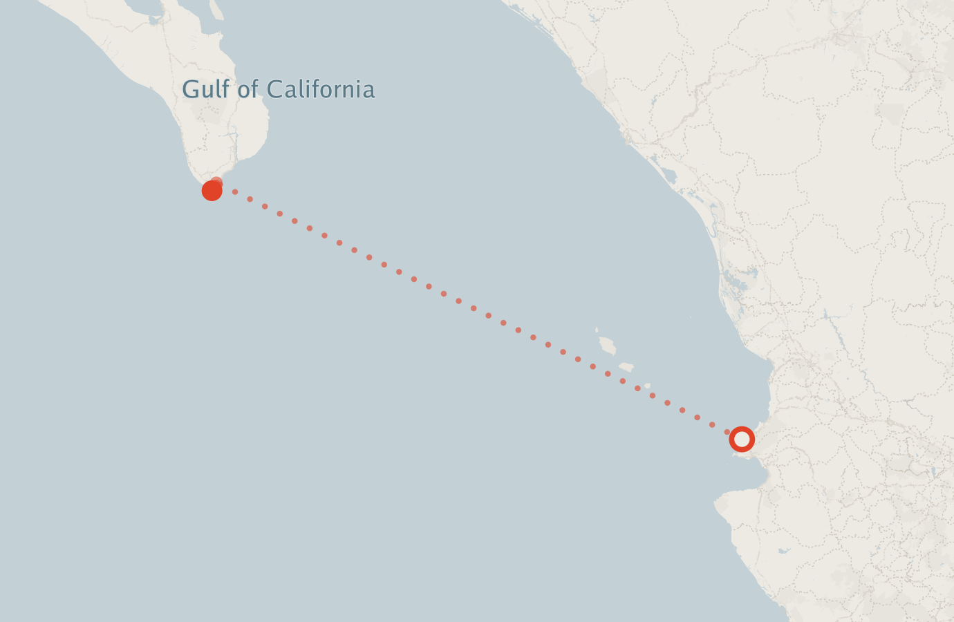 Activity map — real sighting points on an OpenStreetMap basemap