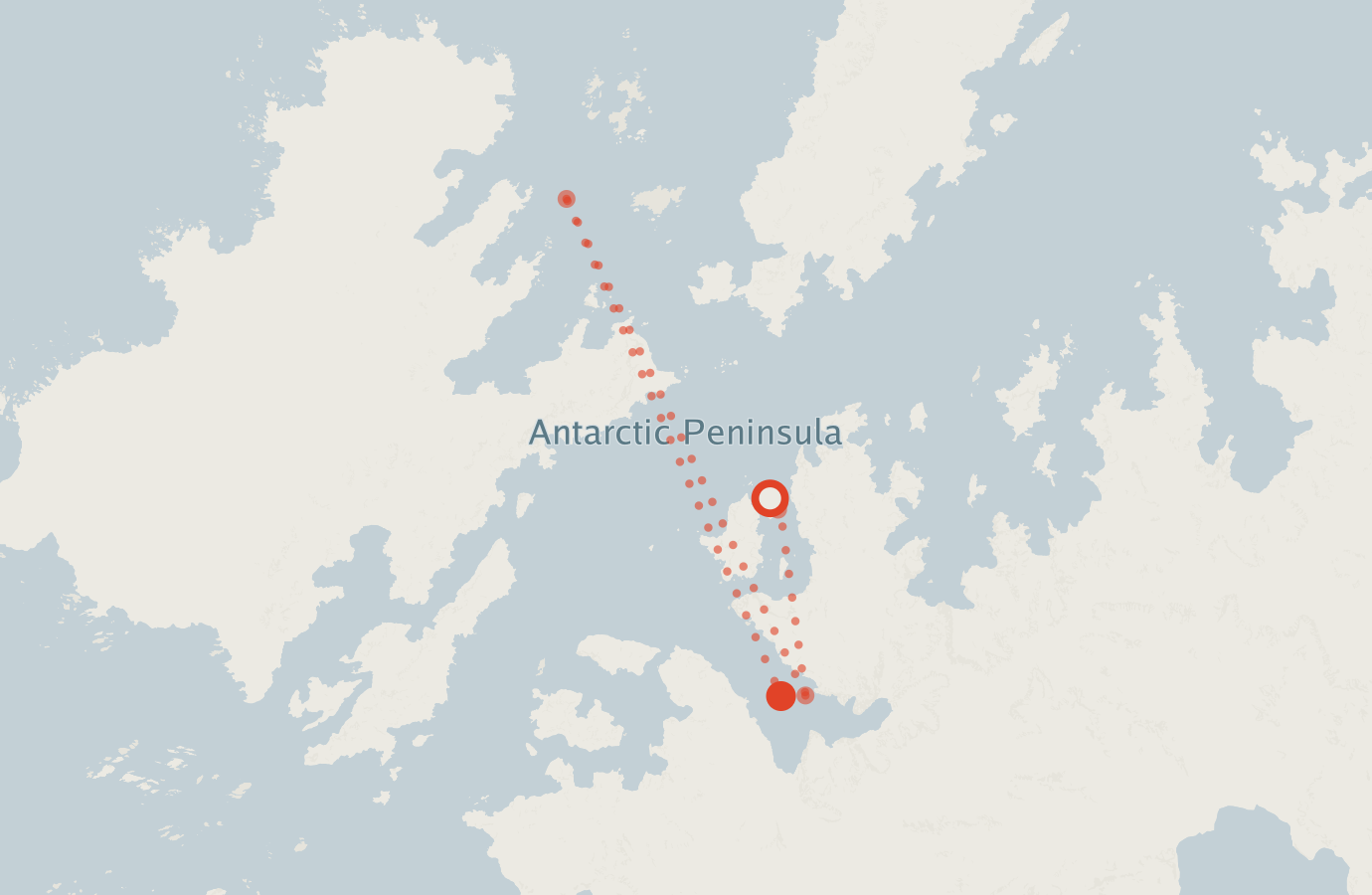 Activity map — real sighting points on an OpenStreetMap basemap
