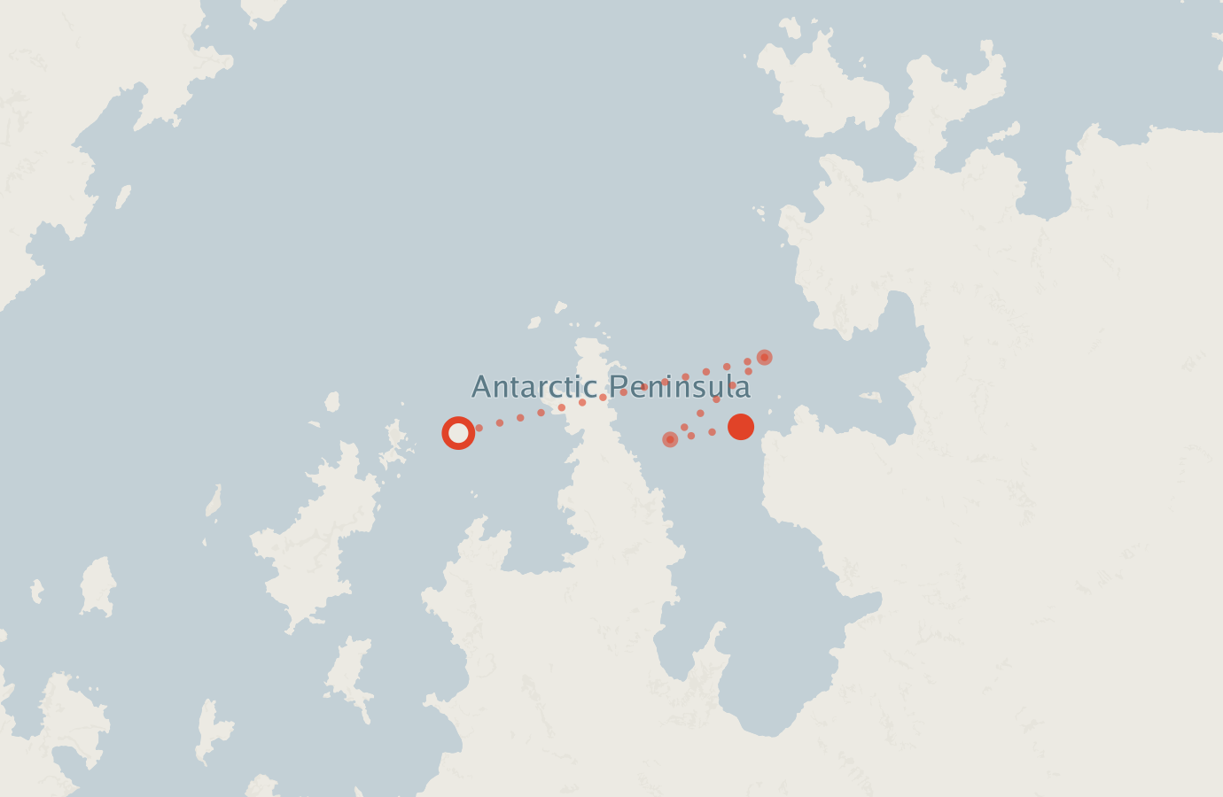 Activity map — real sighting points on an OpenStreetMap basemap
