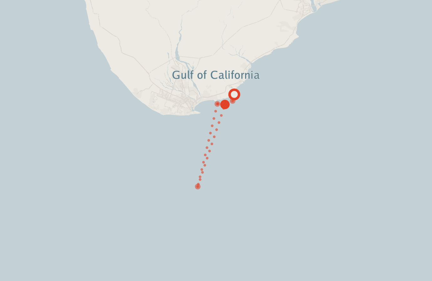Activity map — real sighting points on an OpenStreetMap basemap