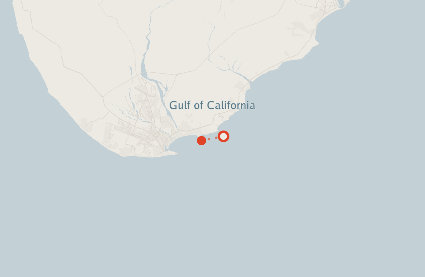 Activity map — real sighting points on an OpenStreetMap basemap