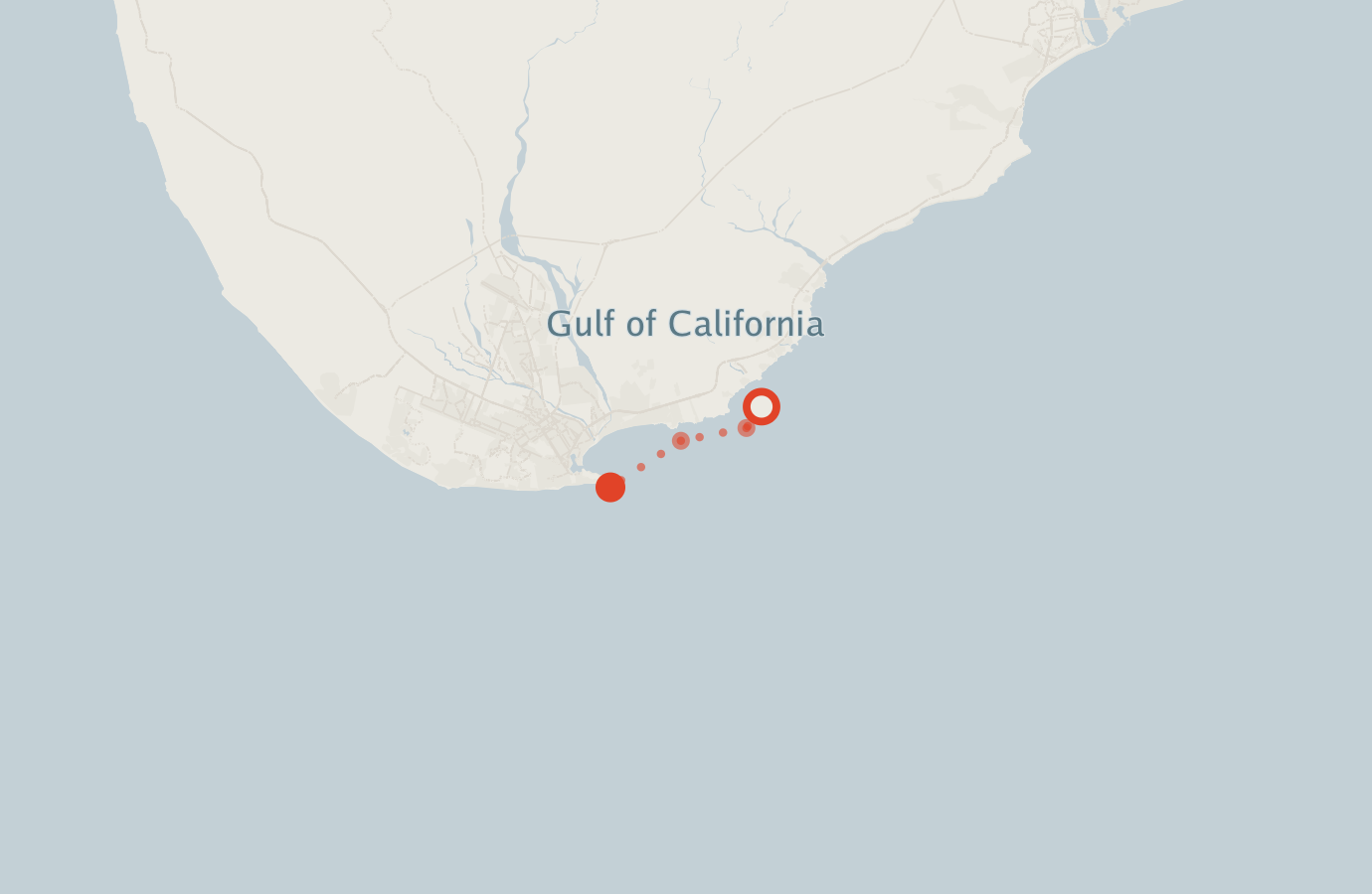 Activity map — real sighting points on an OpenStreetMap basemap