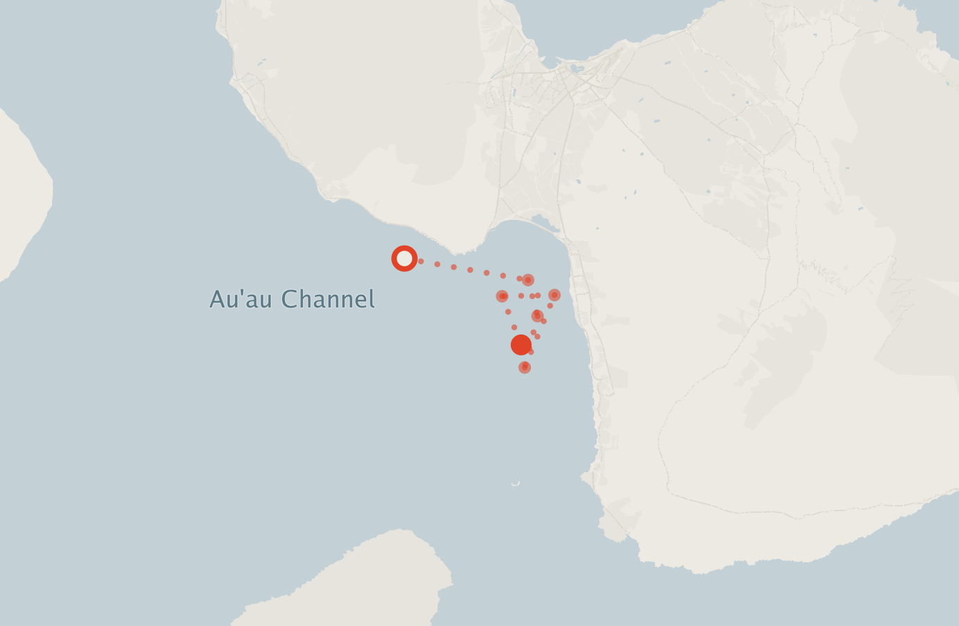 Activity map — real sighting points on an OpenStreetMap basemap