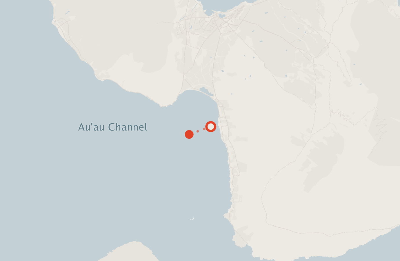 Activity map — real sighting points on an OpenStreetMap basemap