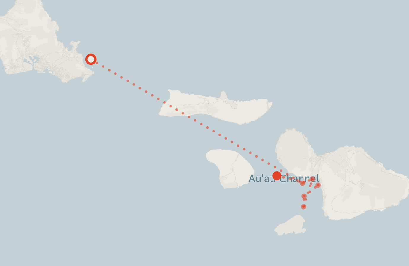 Activity map — real sighting points on an OpenStreetMap basemap