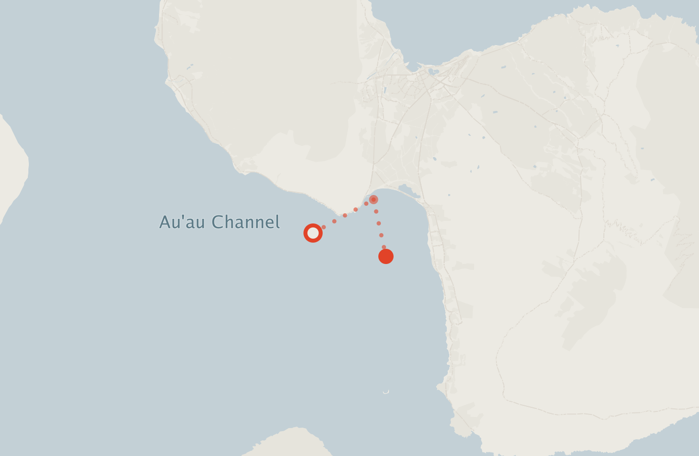 Activity map — real sighting points on an OpenStreetMap basemap