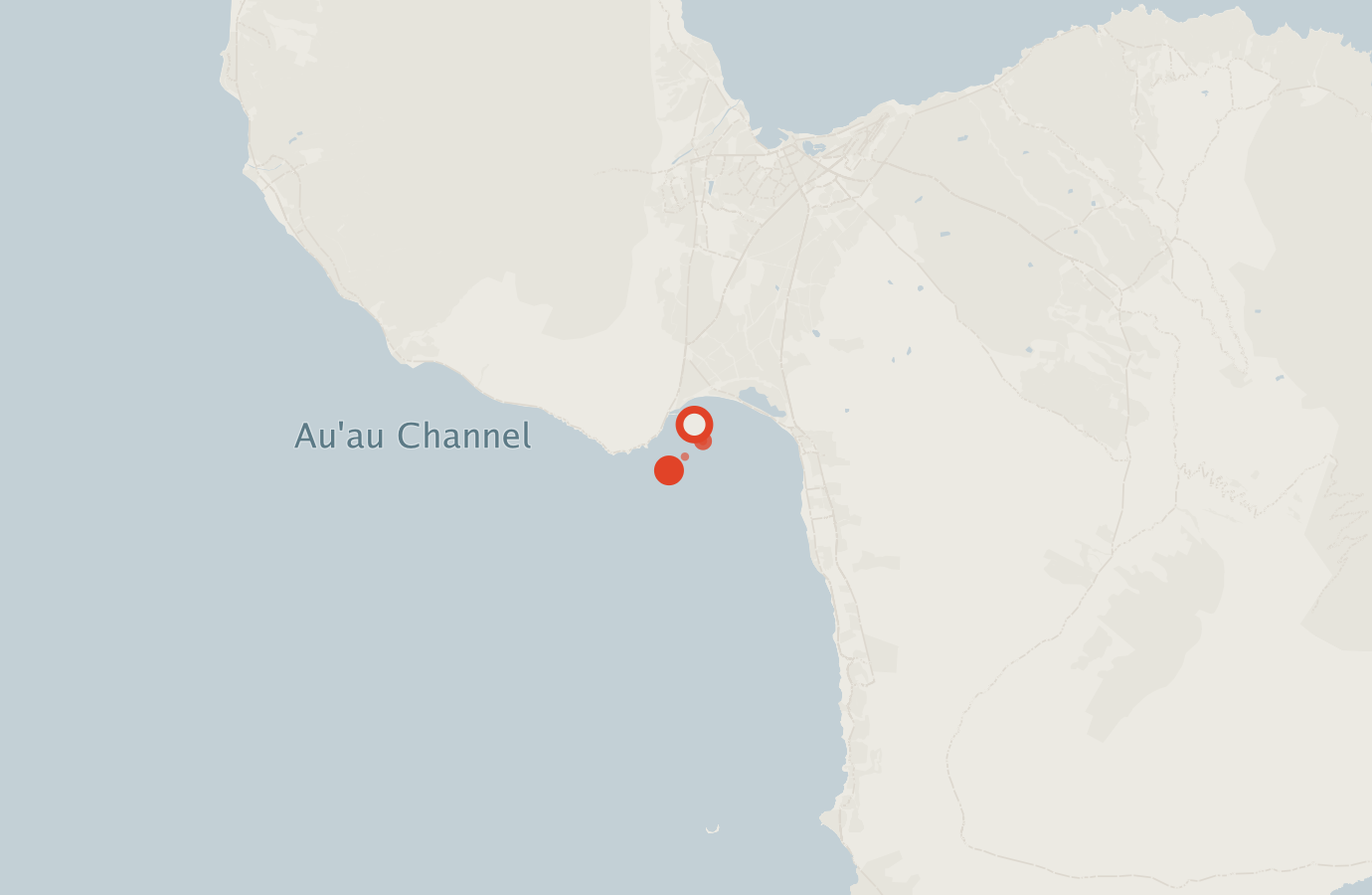 Activity map — real sighting points on an OpenStreetMap basemap