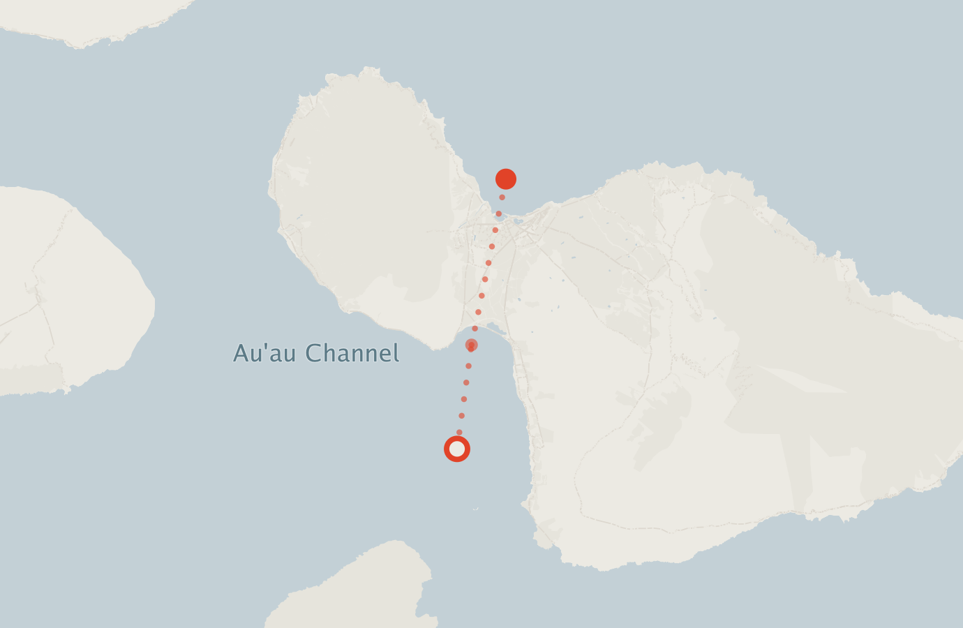 Activity map — real sighting points on an OpenStreetMap basemap