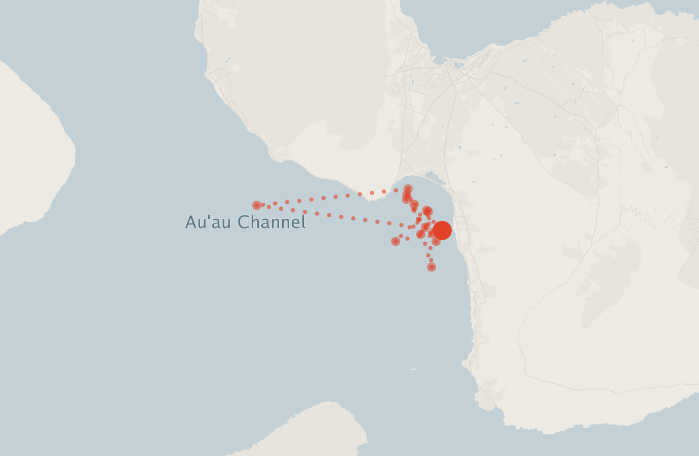 Activity map — real sighting points on an OpenStreetMap basemap
