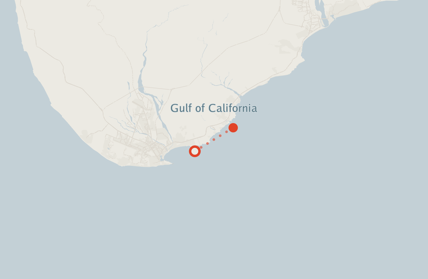 Activity map — real sighting points on an OpenStreetMap basemap