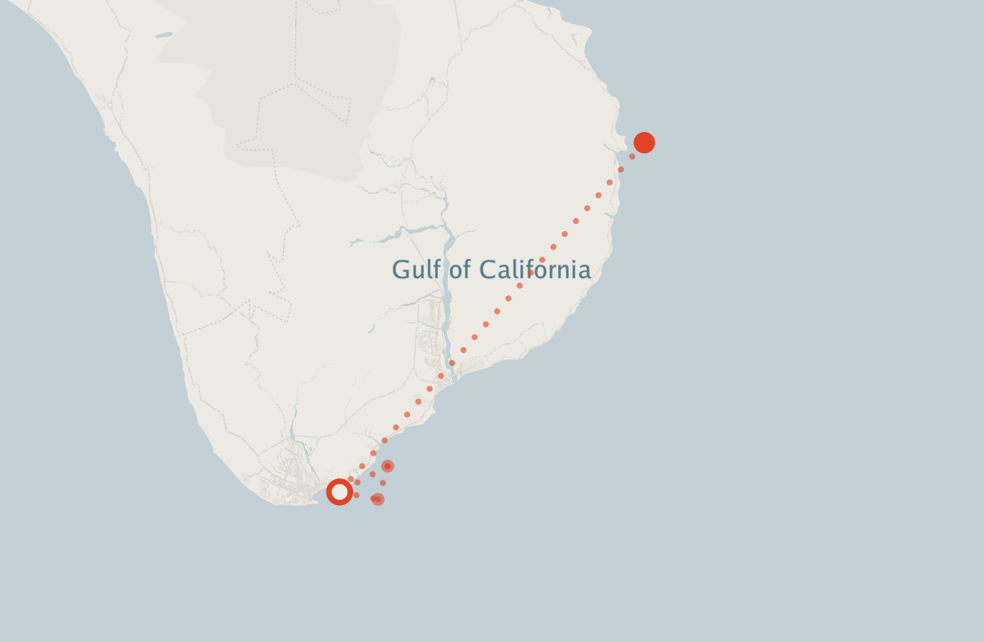 Activity map — real sighting points on an OpenStreetMap basemap