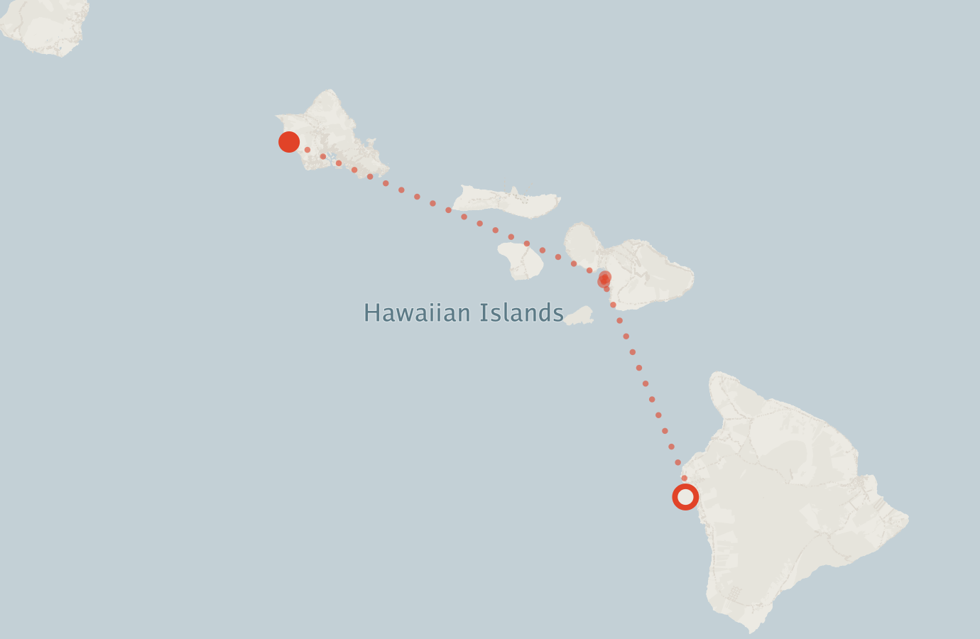 Activity map — real sighting points on an OpenStreetMap basemap