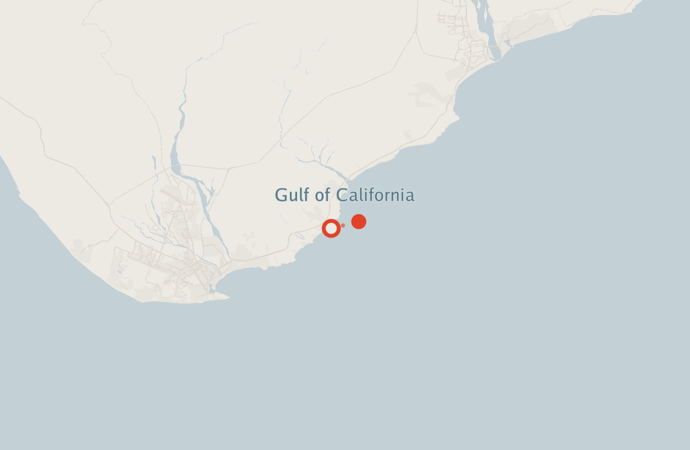 Activity map — real sighting points on an OpenStreetMap basemap