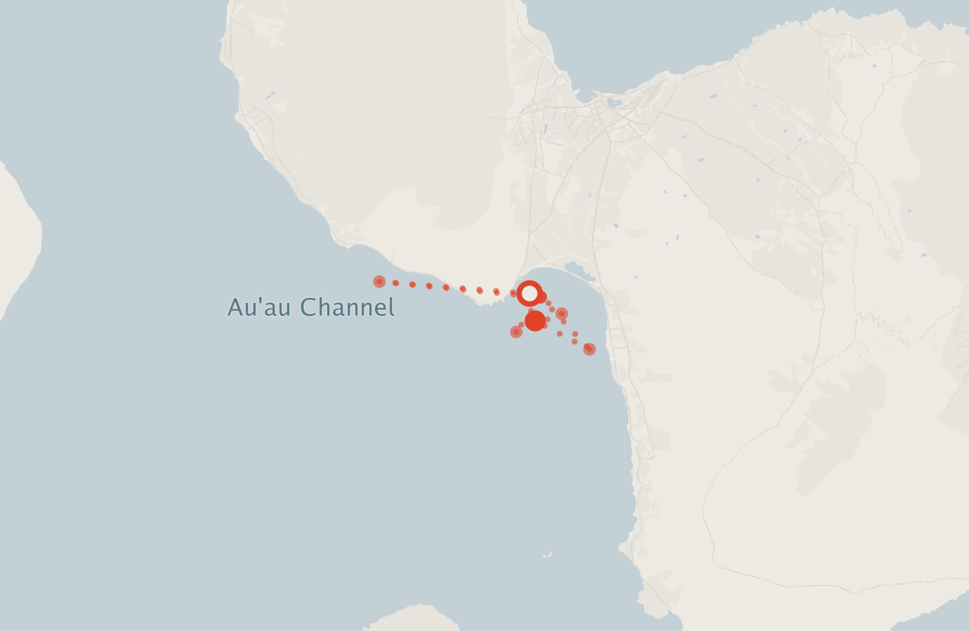 Activity map — real sighting points on an OpenStreetMap basemap