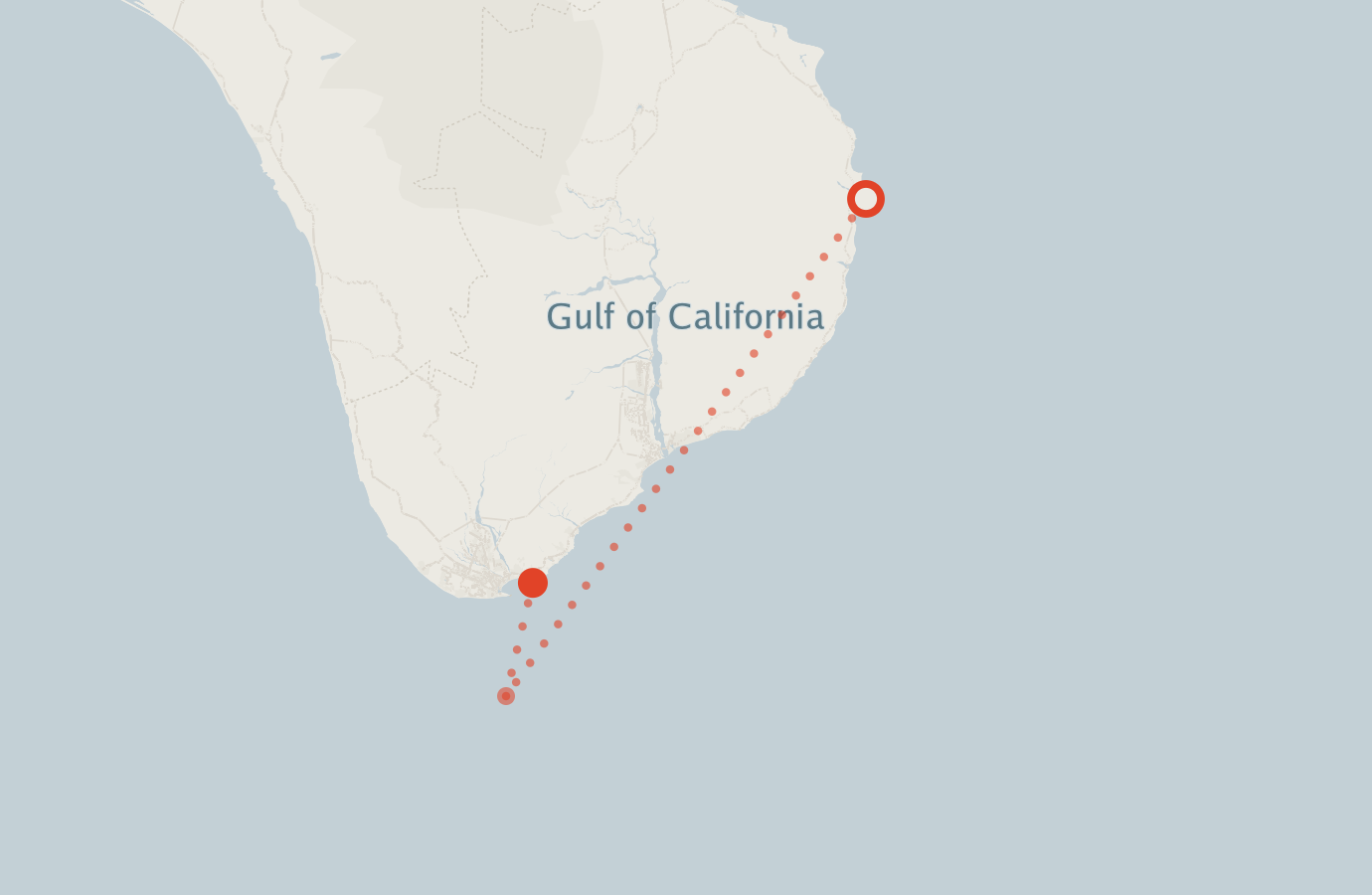 Activity map — real sighting points on an OpenStreetMap basemap