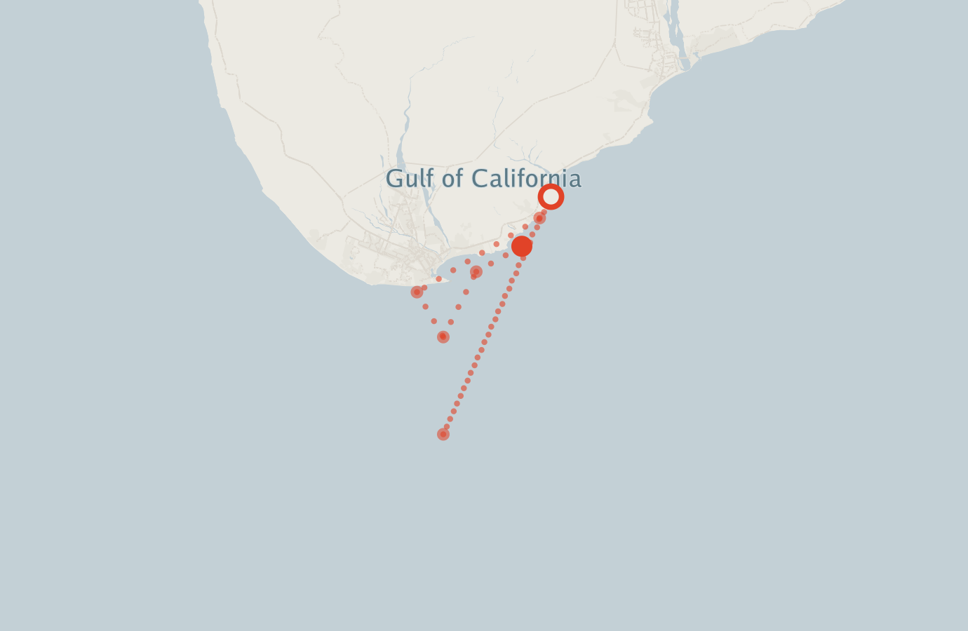 Activity map — real sighting points on an OpenStreetMap basemap