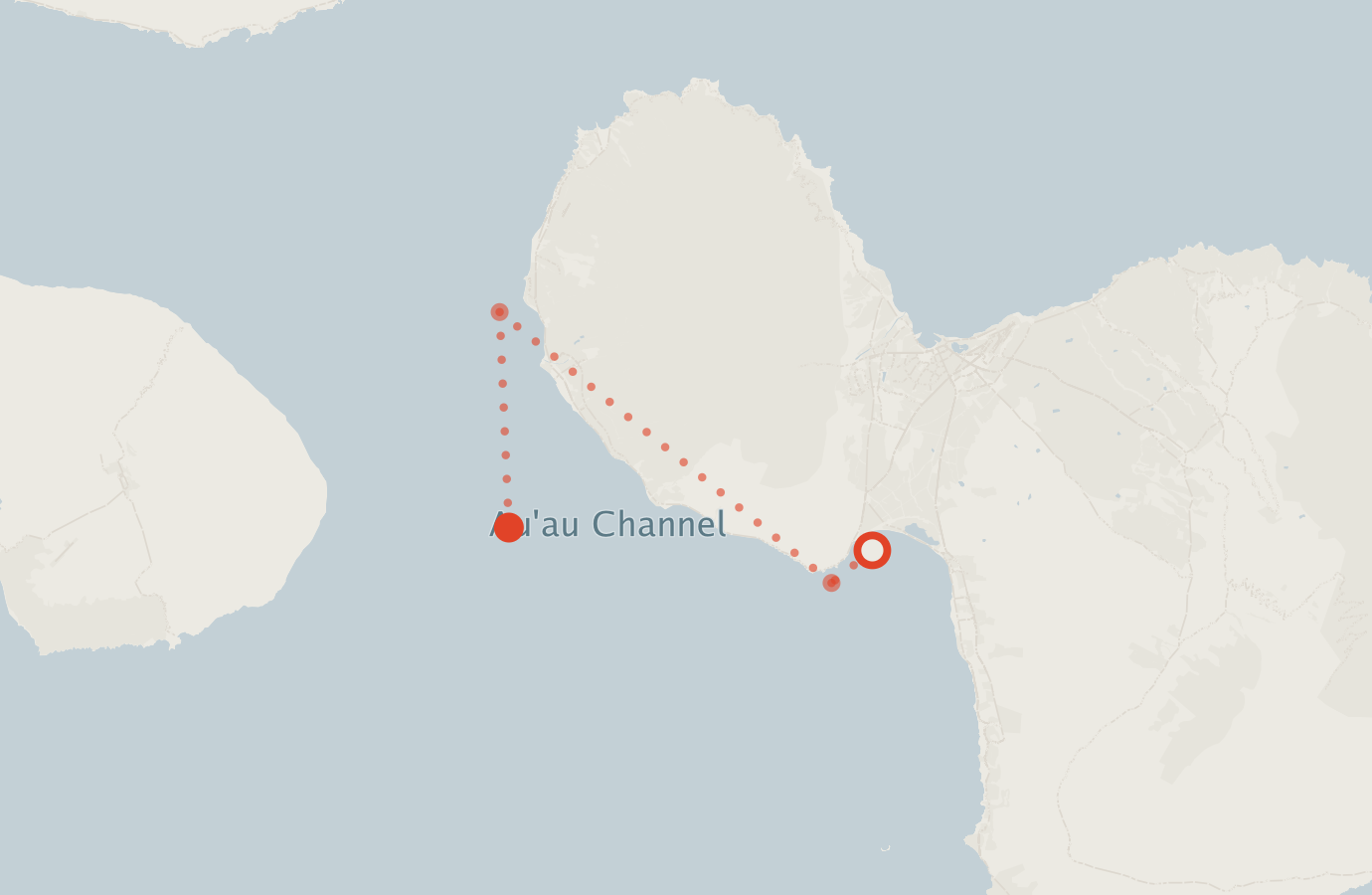 Activity map — real sighting points on an OpenStreetMap basemap