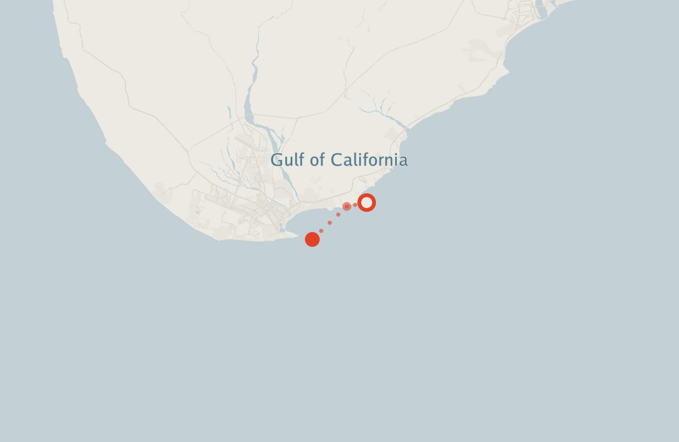 Activity map — real sighting points on an OpenStreetMap basemap