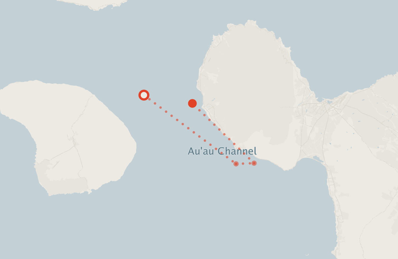 Activity map — real sighting points on an OpenStreetMap basemap
